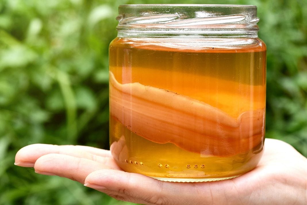 Kombucha-nedir-saglik-uzerindeki-etkileri-nelerdir
