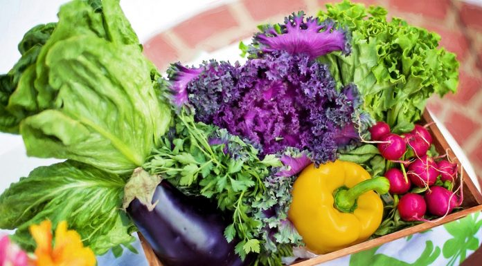 Çölyak Hastalığı ve Glutensiz Beslenme