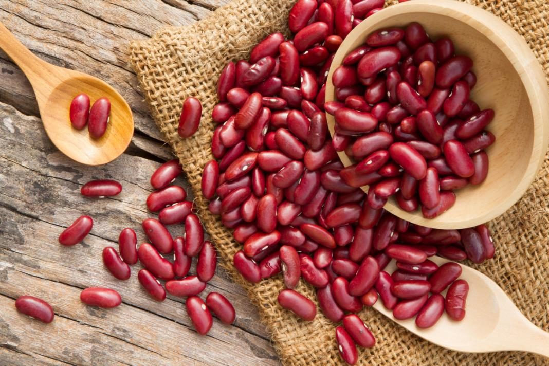 Lektinsiz Beslenme Nedir