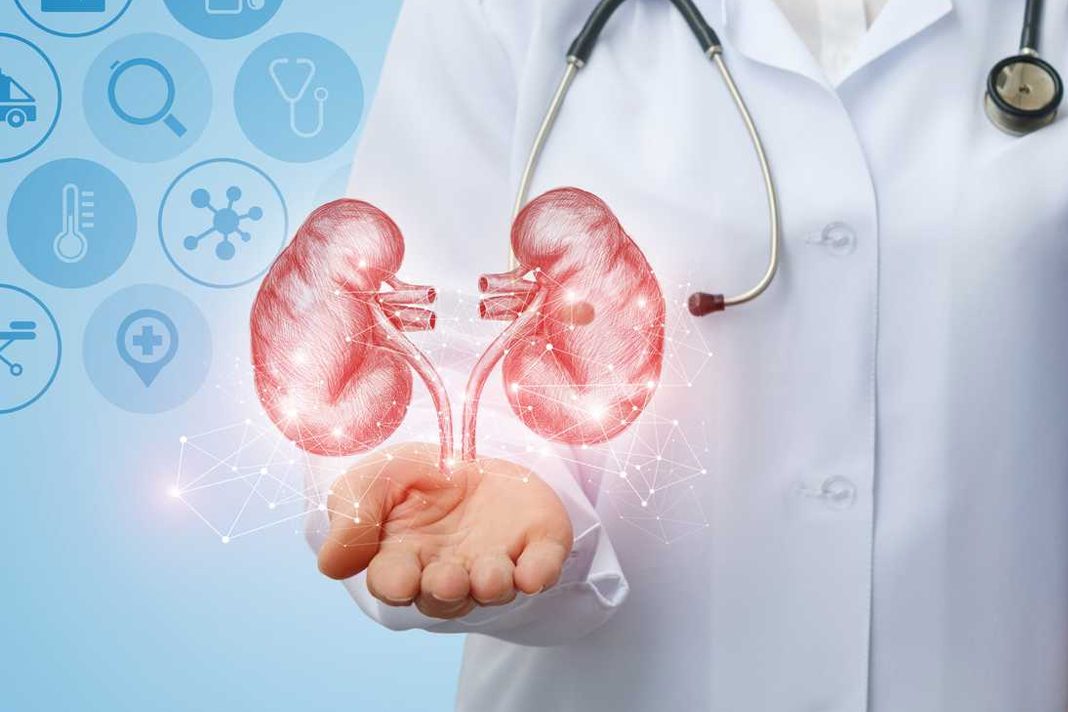 Böbrek Hastalığı ve Beslenme