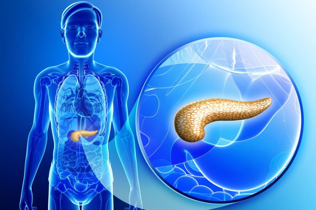 İnsulin-direnci-ve-kilo-verme