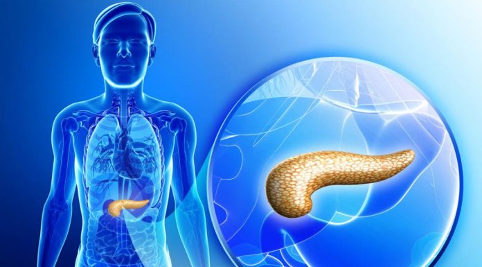 İnsülin Direnci ve Kilo Verme