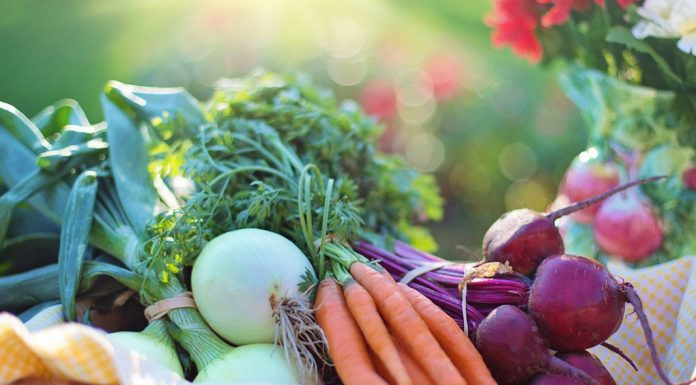 Osteoporozu Önlemek için Nasıl Beslenmelisiniz?