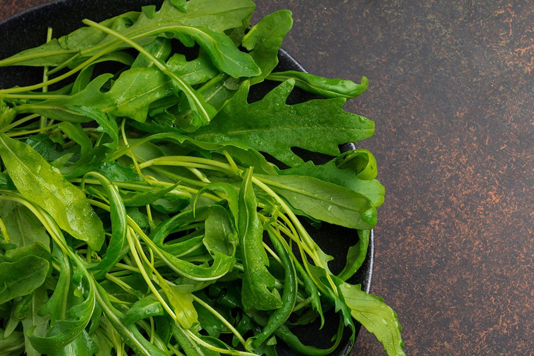 Rokanın Sağlığımıza Faydaları