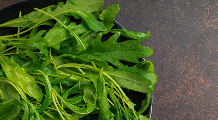 Rokanın Sağlığımıza Faydaları