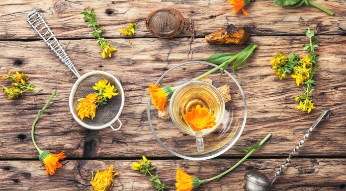 Bitkisel Ürünler Zayıflatır mı?