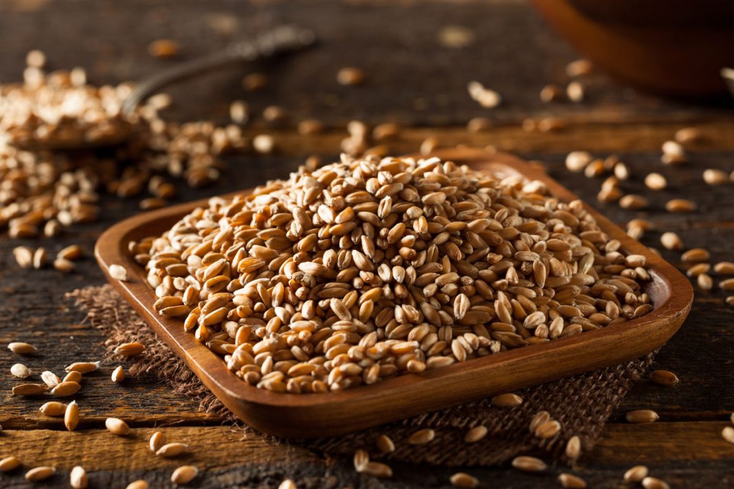 B5-vitamini-pantotenik-nedir-hangi-gidalarda-bulunur