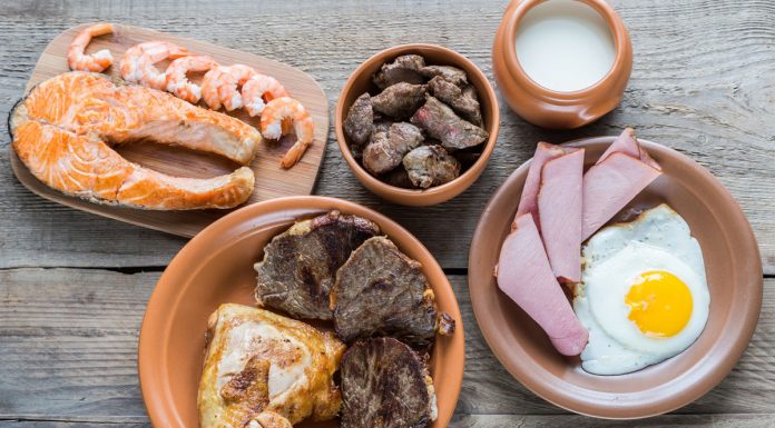 Protein Kalitesi Önemli mi? Neden?