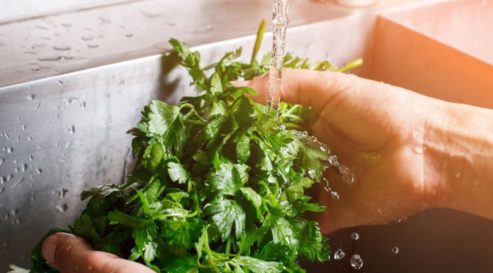 Besin Hijyeni Neden Önemli?