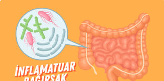 İnflamatuar Bağırsak Hastalıkları