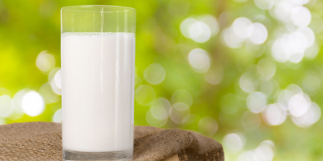 Sütün Faydaları Nelerdir? Kilo Vermede Etkili Midir? Sütün Faydaları Nelerdir? Kilo Vermede Etkili Midir?