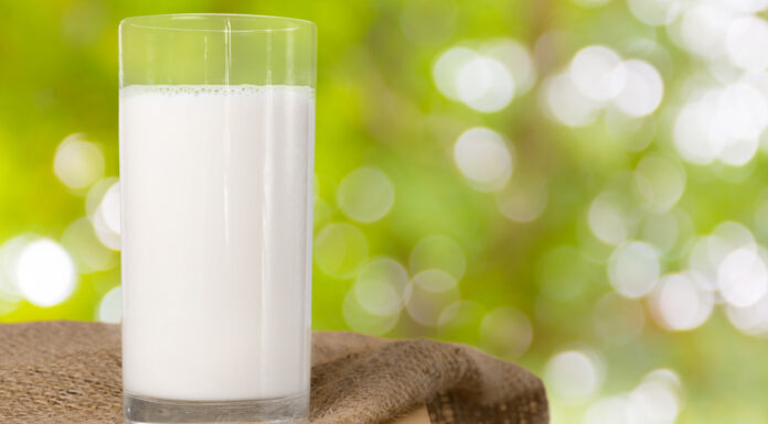 Sütün Faydaları Nelerdir? Kilo Vermede Etkili Midir?