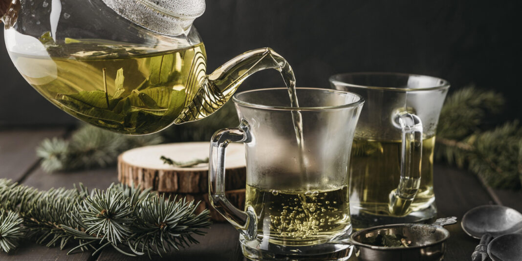 Adaçayının Faydaları Nelerdir? Adaçayı Zayıflatır mı? Adaçayının Faydaları Nelerdir? Adaçayı Zayıflatır mı?